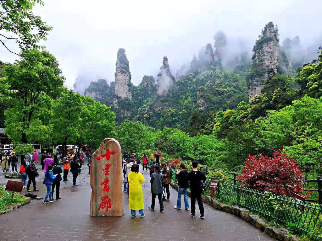 Tianzi Mountain