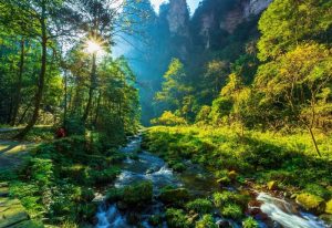 Golden Whip Stream in Zhangjiajie