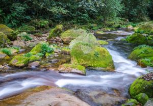 Golden Whip Stream in Zhangjaijie