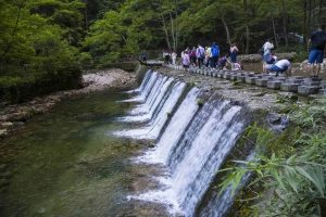 Golden Whip Stream in Zhangjiajie