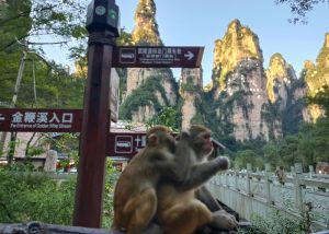 Golden Whip Stream in Zhangjiajie