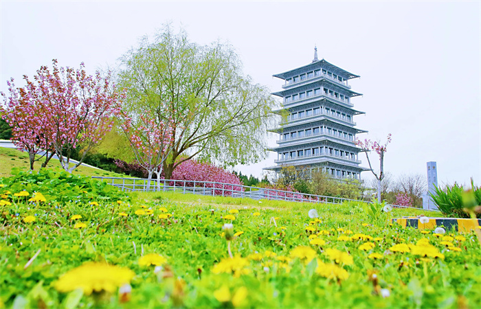 Spring Travel in Xi'an