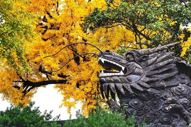 Yu Garden in Autumn