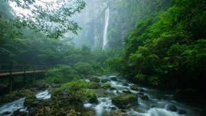 Zhangjiajie Grand Canyon