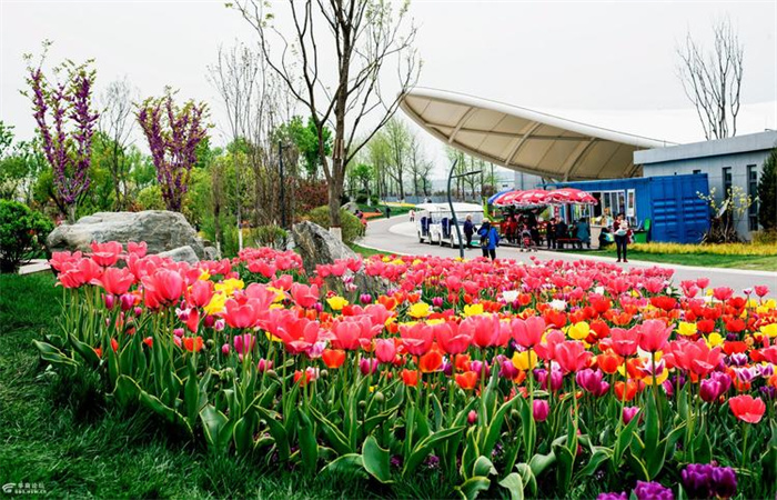 Beautiful parks in Xi'an Spring Travel