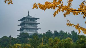 Xi'an Autumn's Beauty