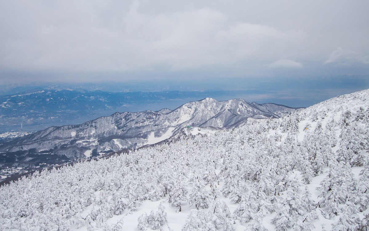 Chengdu in Winter