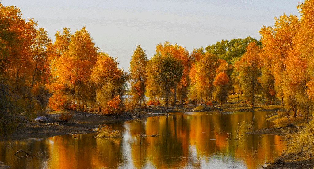 Kuqa in Autumn