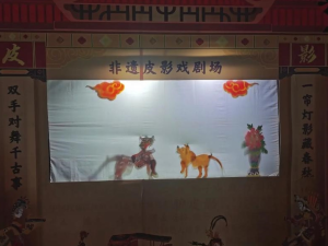 Shadow Puppet Theater