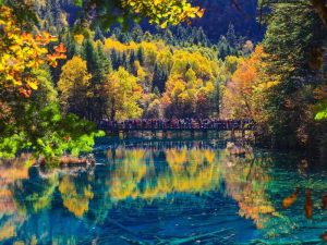 Zhangjiajie Autumn