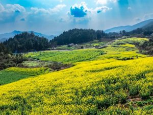 Best Time to Visit Zhangjiajie