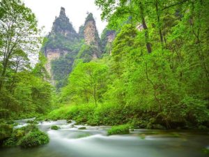 Zhangjiajie Summer