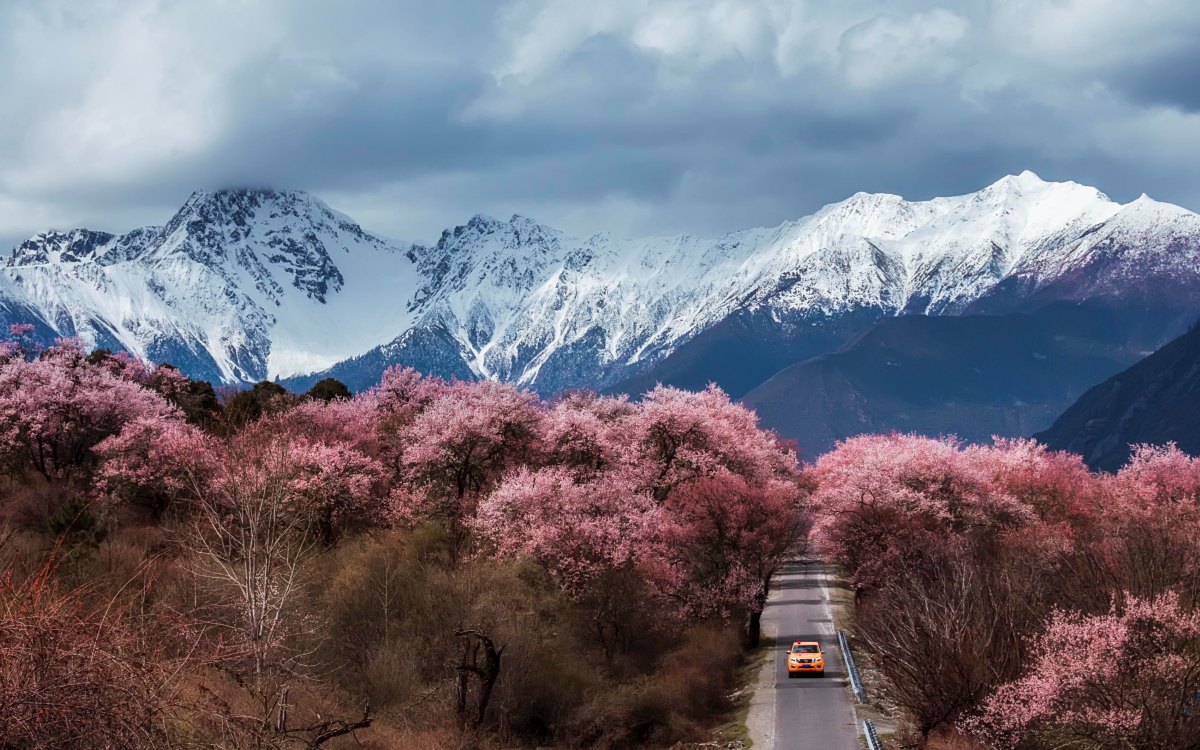 Tibet in Spring