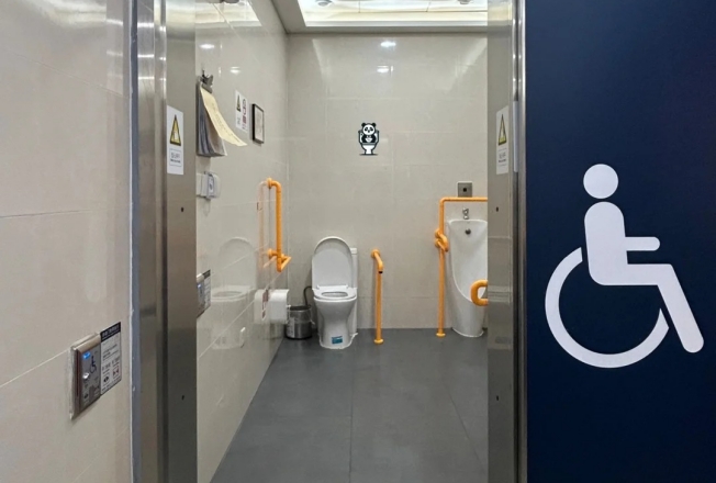 Wheelchair-Accessible Toilets