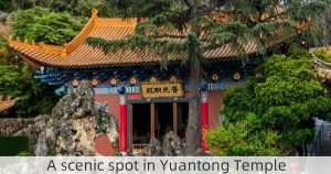 A scenic spot in Yuantong Temple