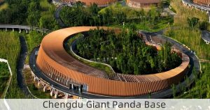 Chengdu Giant Panda Base