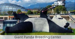 Giant Panda Breeding Center