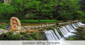 Golden Whip Stream