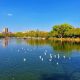 Green Lake park
