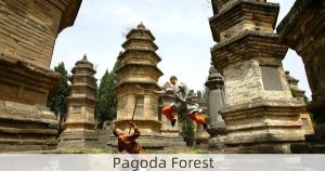 Pagoda Forest