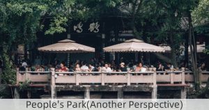 People's Park(Another Perspective)