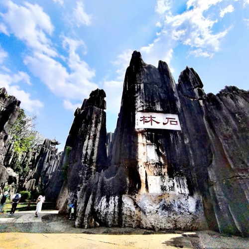Stone Forest