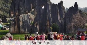 Stone Forest