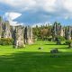Stone Forest