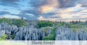 Stone Forest