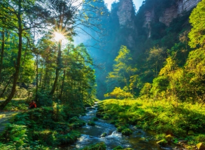 zhangjiajie golden whip valley