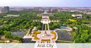 Aral City