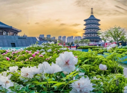 Best Time to Visit Luoyang