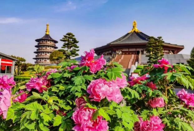 Best Time to visit Luoyang
