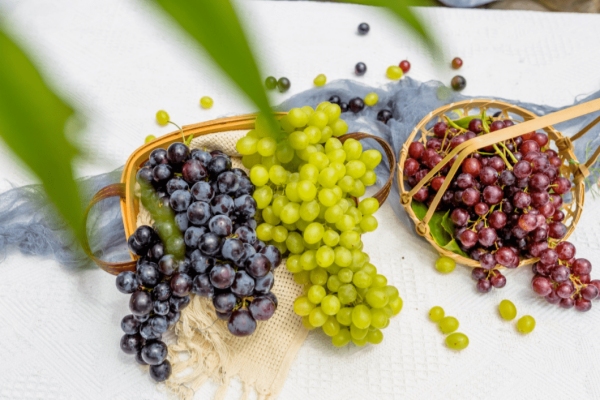 Different kinds of grape