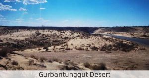 Gurbantunggut Desert