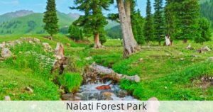 Nalati Forest Park