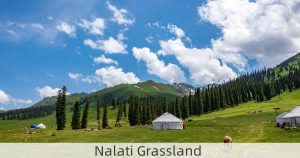 Nalati Grassland