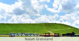Nalati Grassland