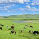 Ruoergai Grasslands