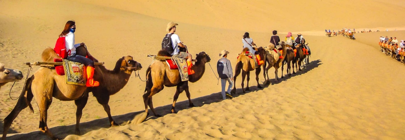 Silk Road
