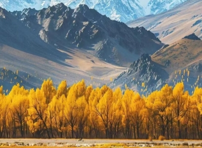 TIbet Autumn