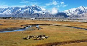 Tashkurgan Golden Grassland