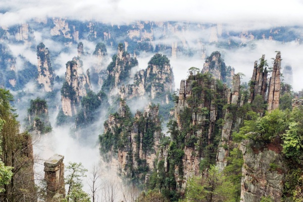 Tianzi Mountain