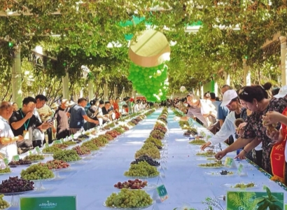 Turpan Grape festival