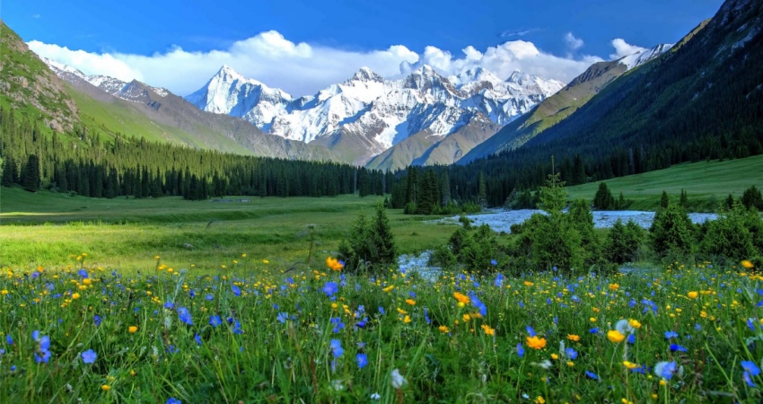 Xinjiang Tours