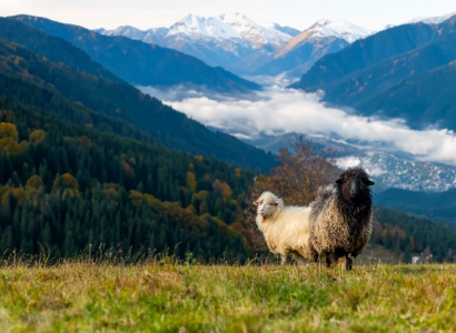 Xinjiang tour