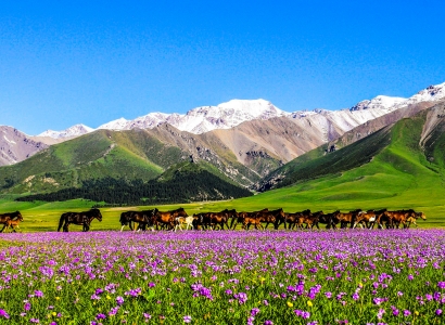 Xinjiang tour