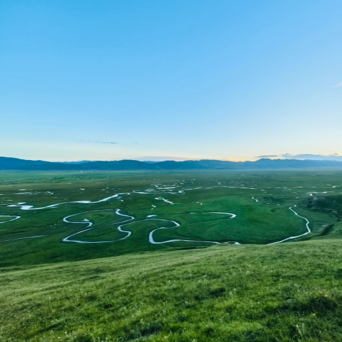 awancang wetland