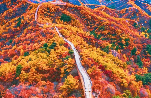beijing great wall autumn