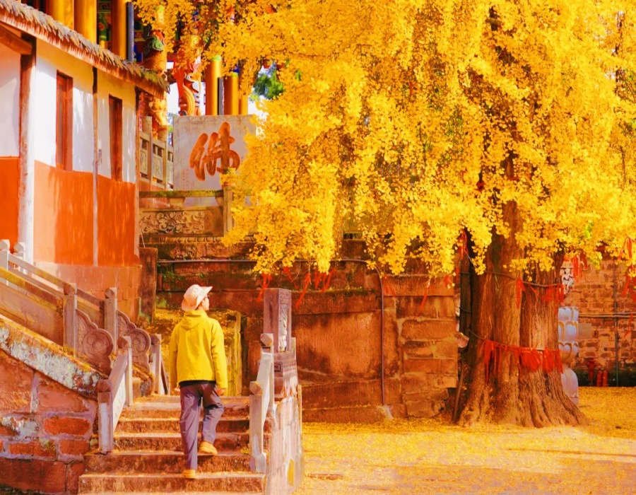 chengdu autumn clothes